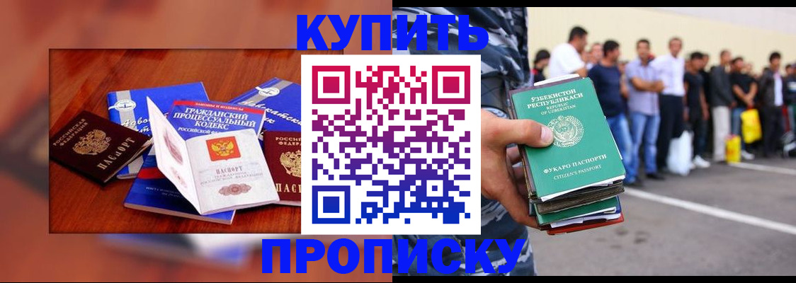 прописка для школы в Ершове